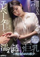The Elevator Broke Down Due To A Sudden Rainstorm, And Now I Was Being Fucked By A Slut With Big Tits Transparently Beckoning Me Through Her Dripping Wet Shirt Amy Fukada-Eimi Fukada,Kokoro Amami
